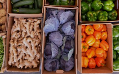 Free Fresh Produce Markets in Sharon Woods